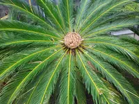 IMG_20230829_132546.webp