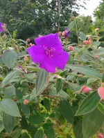 IMG_20230824_131459.webp