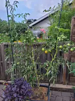 20250821_194814.webp