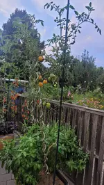 20250821_194928.webp