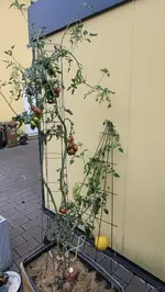 20250821_194936.webp