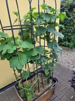 20250821_195031.webp