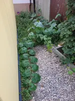 20250821_195113.webp