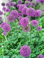 IMG_20220526_150250.webp