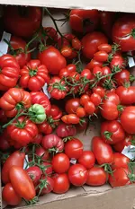 20250822_145357.webp