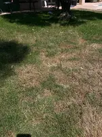 5 Bermuda.webp