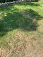 6 Bermuda.webp