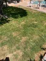 8 Bermuda.webp