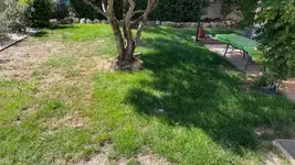 Bermuda new 1.webp