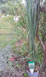 20250823_183348.webp