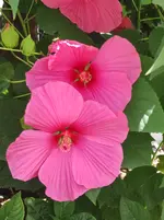 IMG_20250824_122439.webp
