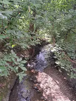 20250824_152357.webp