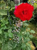 IMG_20250820_121536.webp
