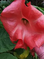 IMG_20250820_195335.webp