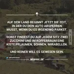 Bild 1.webp