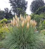 20250828_144602.webp