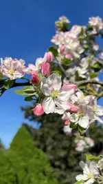 F02E4957-D365-4642-ACFE-3F73E5E282A4.webp