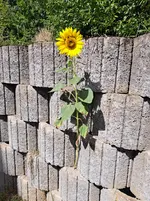 20250824_142439.webp