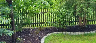 garten.webp