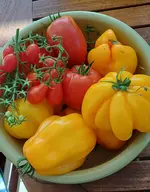 20250829_104722.webp