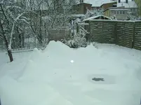Teich im Winter 2.webp