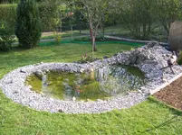 Teich im Frühling 2.webp