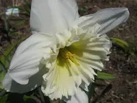 IMG_3672_1024x768.webp