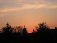 IMG_0733.webp