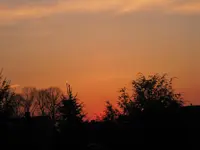 IMG_0738.webp