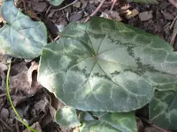 IMG_3679_1024x768.webp