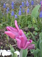 IMG_1027.webp