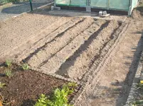 Garten 038.webp