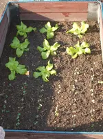 Garten 041.webp
