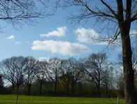 P1030337.webp
