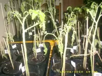 JD800001.webp