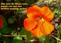 April 2010 397.webp
