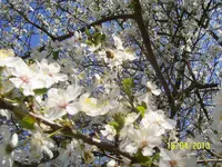 100_2396.webp