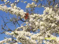 100_2404.webp