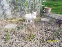 100_2385.webp