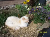 100_2390.webp