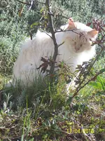 100_2391.webp 100_2391.webp