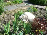 100_2402.webp