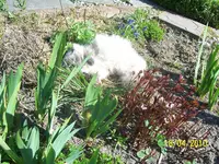 100_2403.webp