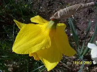 100_2392.webp