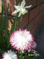 100_2399.webp