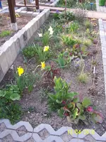 100_2405.webp