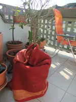 DSCF0680.webp