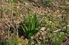 Revier 16.04 (21).webp