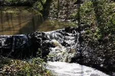 Revier 16.04 (25).webp