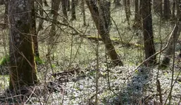 Revier 16.04 (35).webp